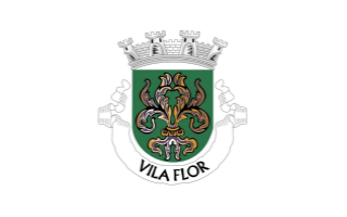 CM de Vila Flôr